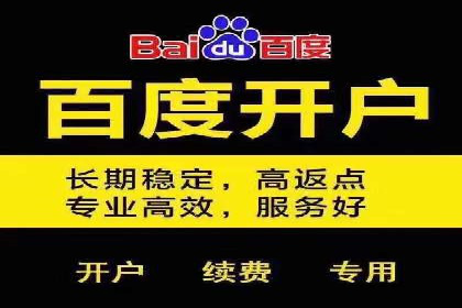 百度推广费用与广告定位精准度的关系案例研究